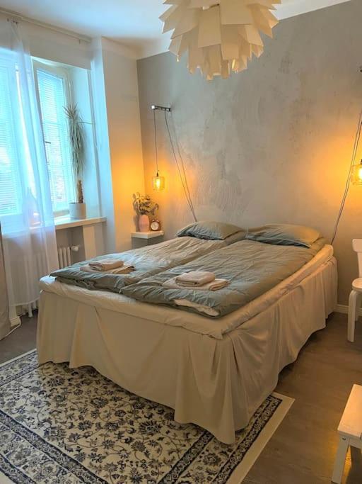 Glorious Apartment In Hakaniemi ヘルシンキ エクステリア 写真